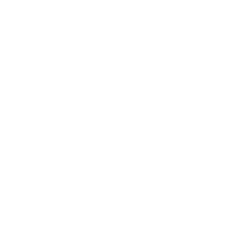 Transnational E-commerce Ltd